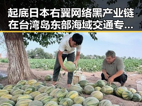 起底日本右翼网络黑产业链在台湾岛东部海域交通专项执法行动中的隐秘操作