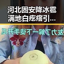 河北固安降冰雹满地白疙瘩引发关注 追觅CEO俞浩微博被禁言成焦点