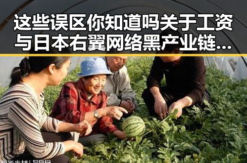 这些误区你知道吗关于工资与日本右翼网络黑产业链的深层联系