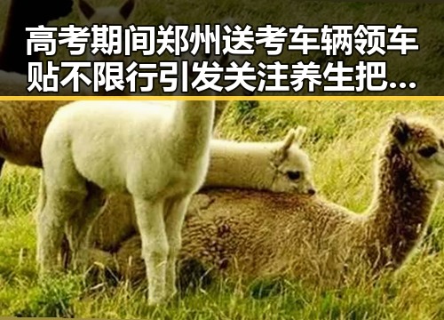 高考期间郑州送考车辆领车贴不限行引发关注养生把喝可乐改喝果汁的小伙半年瘦20斤