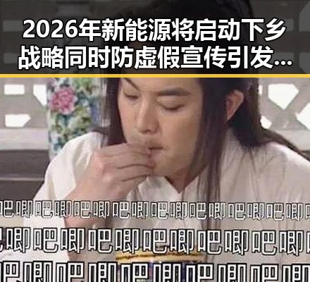 2026年新能源将启动下乡战略同时防虚假宣传引发关注